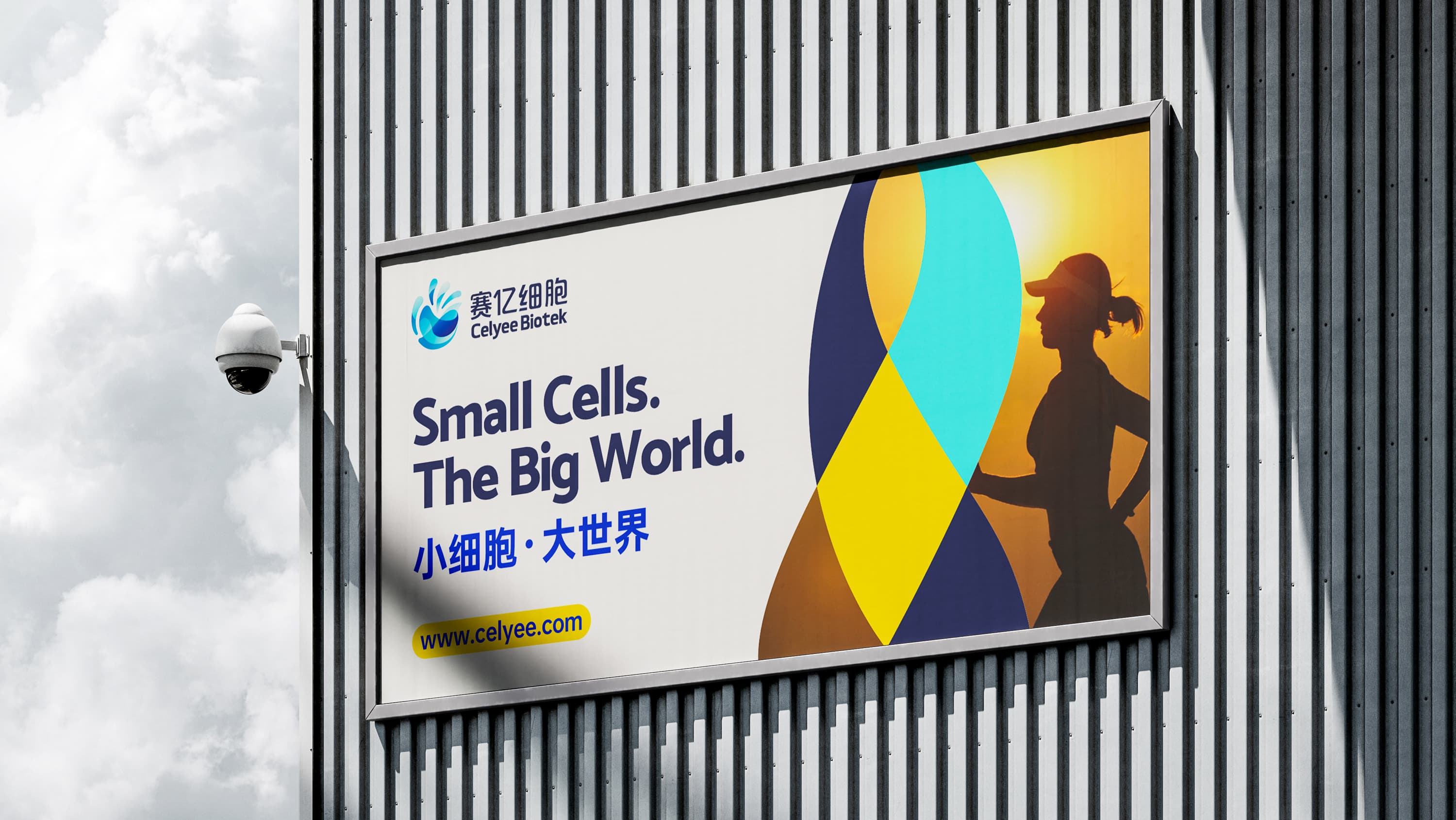 赛亿细胞