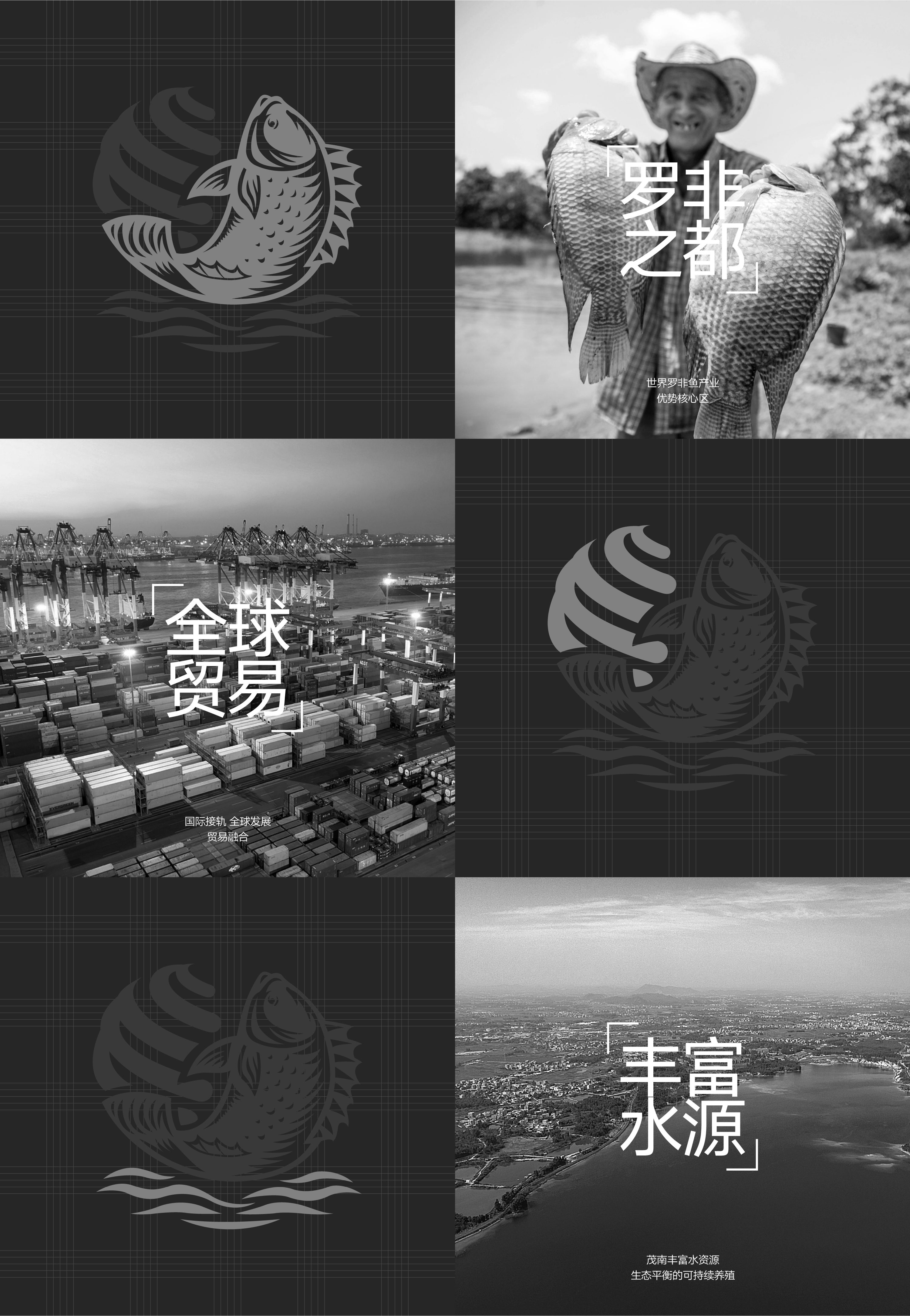 茂南罗非鱼